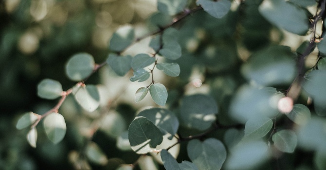 Systematic Review – ESWT for Musculoskeletal Disorders image